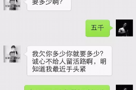 庄浪遇到恶意拖欠？专业追讨公司帮您解决烦恼